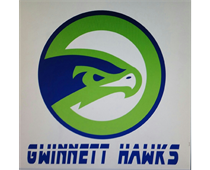 Gwinnett Hawks